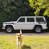 NISSAN PATROL Y60 4.2L LWB LHD MANUAL