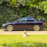 WINNER FABIANO PAOLO TICKET NUMBER 377