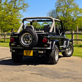 JEEP WRANGLER YJ RENEGADE LHD 4.2 MANUAL