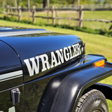JEEP WRANGLER YJ RENEGADE LHD 4.2 MANUAL